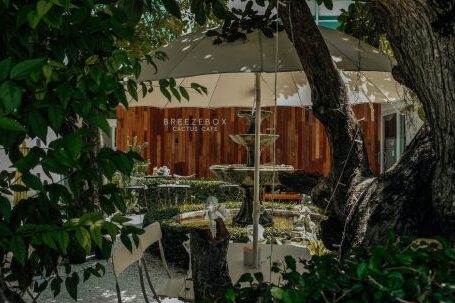 Business-friendly Ambiance - Water Fountain in the Garden