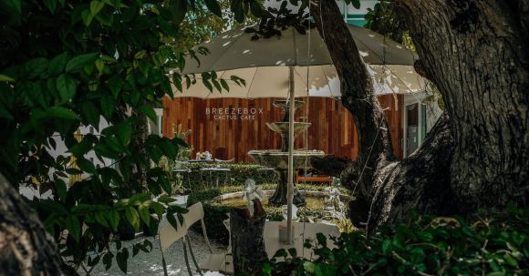 Business-friendly Ambiance - Water Fountain in the Garden